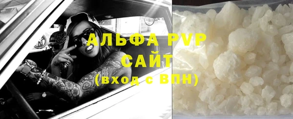 стаф Алексин