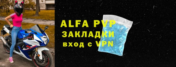 стаф Алексин