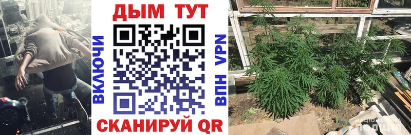 Шишки марихуана планчик  Бахчисарай 